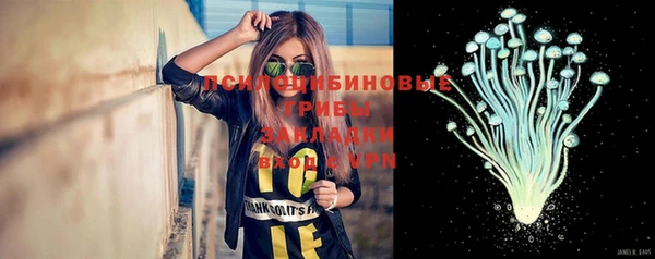 ECSTASY Богородск