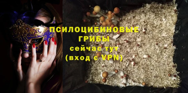 твердый Богородицк