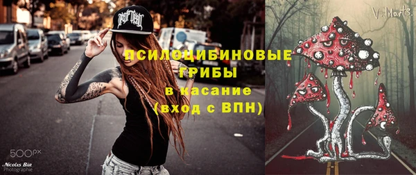 ECSTASY Богородск