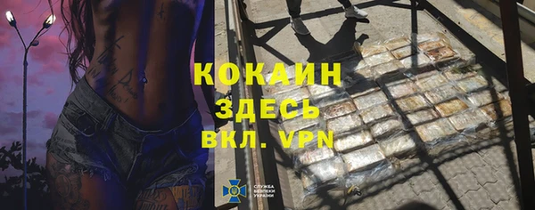 твердый Богородицк